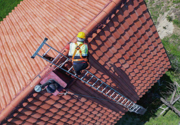 Best Roof Waterproofing  in Springfield, NE