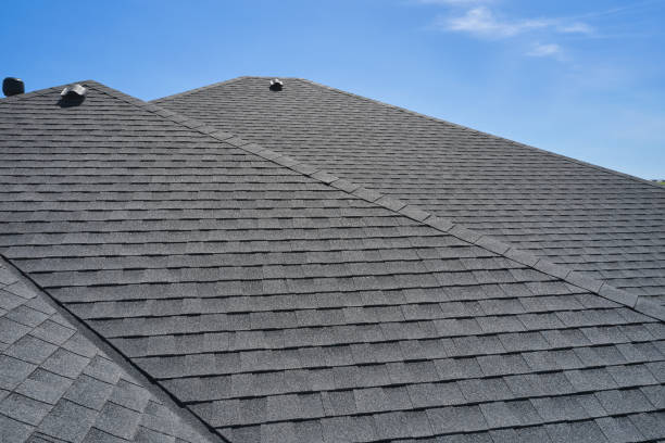 Best Chimney Flashing Repair  in Springfield, NE