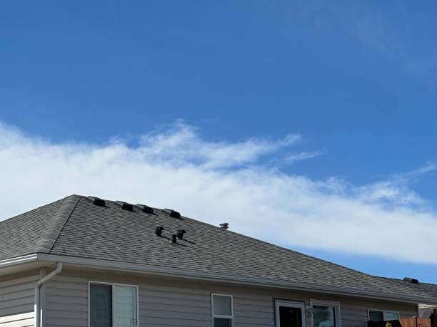 Best Flat Roofing  in Springfield, NE